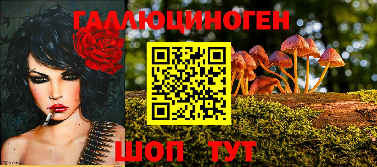 Псилоцибиновые грибы GOLDEN TEACHER Арсеньев
